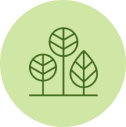 Icon 4