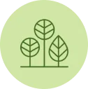 Icon 4